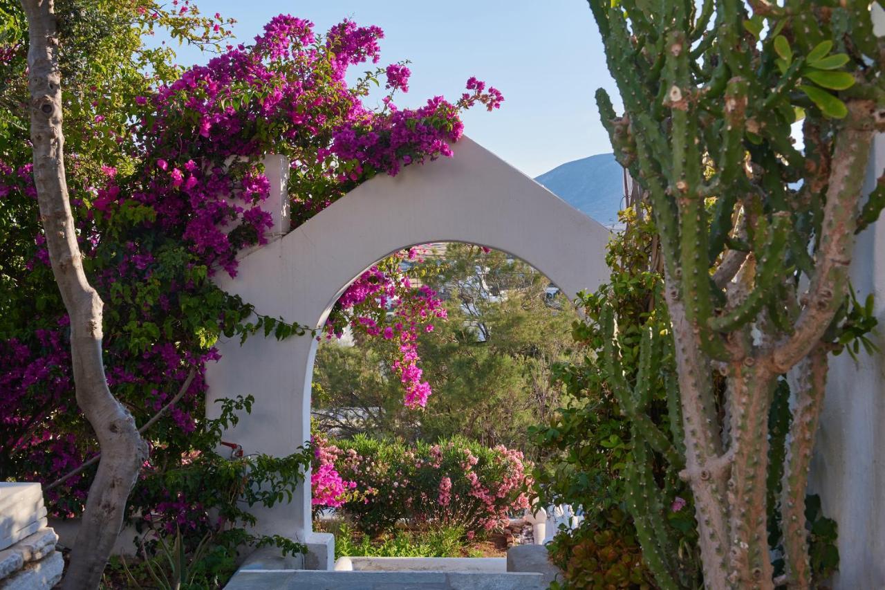 Appartement Cleopatra Seaside Homes, Logaras, Paros Piso Livadi